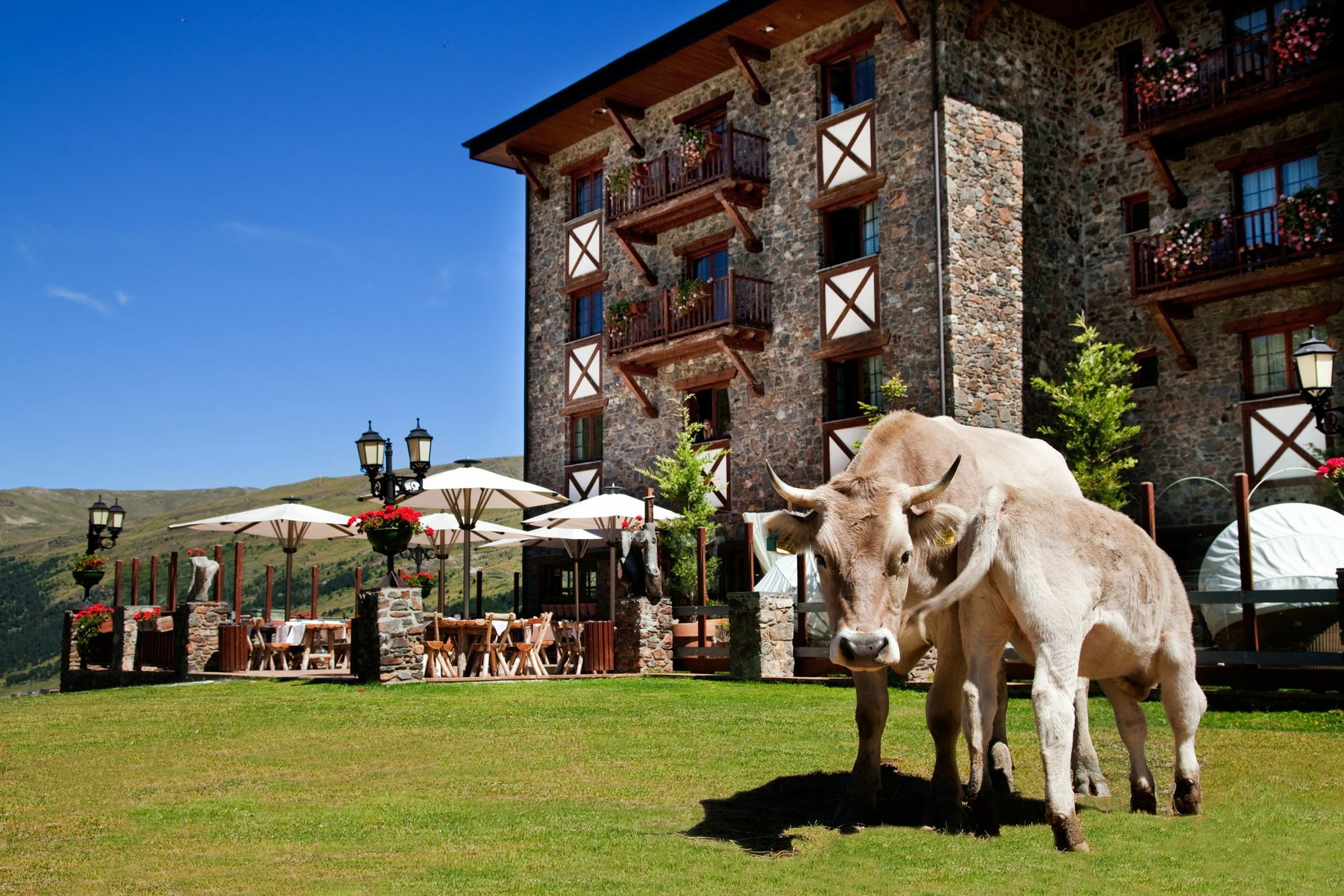 Grau Roig Hotel 파스데라까사 외부 사진